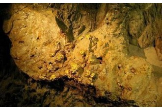 求購優質金礦資源